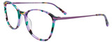 Takumi Eyeglasses TK1267 080