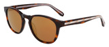 Spyder Sunglasses SP6045 215