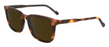 Zeiss Sunglasses ZS24545S 239