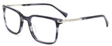 John Varvatos Eyeglasses VJVC018 0GRE