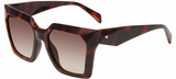 Police Sunglasses SPLN58M 01AY