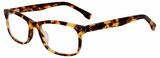 GAP Eyeglasses VGP232 0HAV