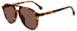 GAP Sunglasses SGP018 0HAV