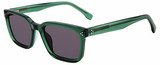 GAP Sunglasses SGP014 0GRN