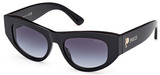 Emilio Pucci Sunglasses EP0228 01W