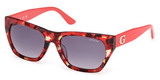 Guess Sunglasses GU00203-H 54B