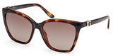 Guess Sunglasses GU00191 52H