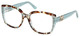 Turquoise Havana / Clear