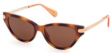 Max & Co. Sunglasses MO0101 52E