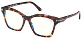 Tom Ford Eyeglasses FT5965-B 052