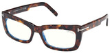 Tom Ford Eyeglasses FT5966-B 052