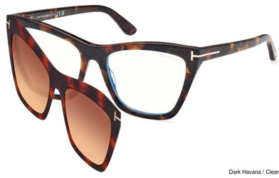 Clip Replacement Lenses 109663