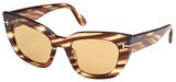 Tom Ford Sunglasses FT1190 53E