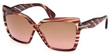 Tom Ford Sunglasses FT1195 54F