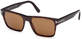 Tom Ford Sunglasses FT1205 52E