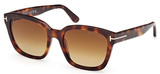 Tom Ford Sunglasses FT1216 53F