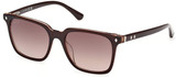 WEB Sunglasses WE0348 50F