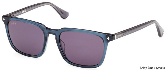 Sunglass Replacement Lenses 110015