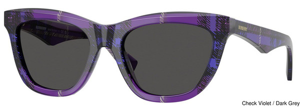 Sunglass Replacement Lenses 110578