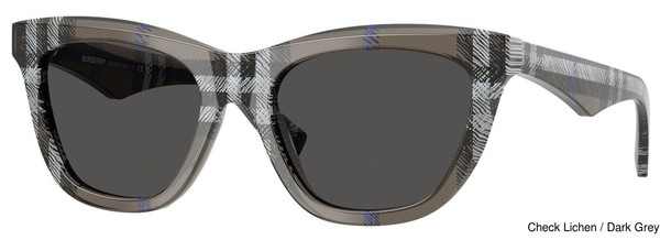 Sunglass Replacement Lenses 110582