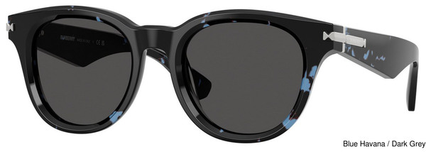 Berry Replacement Lenses 110607