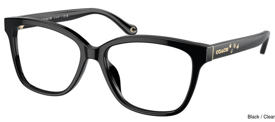 Coach Replacement Lenses 110892