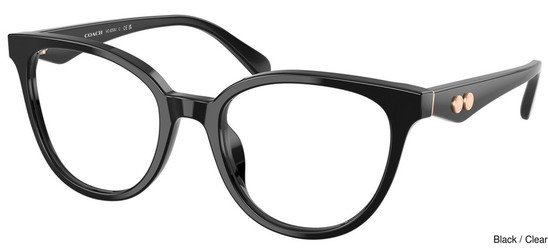 Coach Replacement Lenses 110973