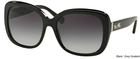 Coach Replacement Lenses 111076