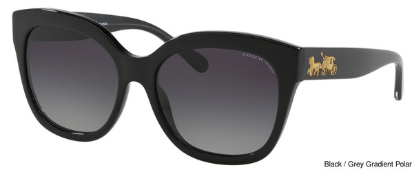 Coach Replacement Lenses 111077