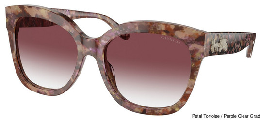 Coach Replacement Lenses 111078