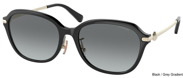 Coach Replacement Lenses 111080