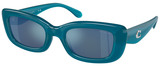 Coach Sunglasses HC8390U 580655