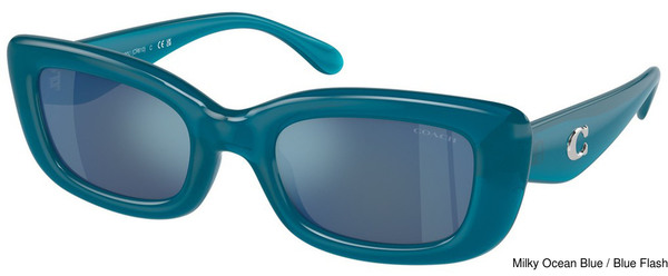 Coach Replacement Lenses 111089