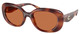 Caramel Tortoise / Brown Solid