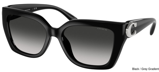 Coach Sunglasses HC8408F 50023C