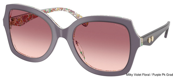 Coach Replacement Lenses 111133