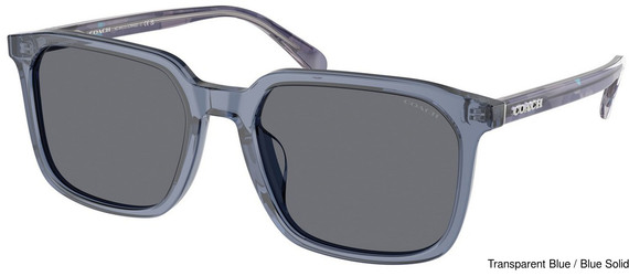 Coach Replacement Lenses 111135