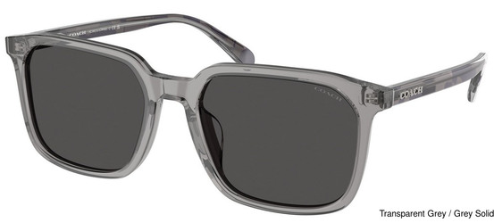 Coach Sunglasses HC8411U 584987