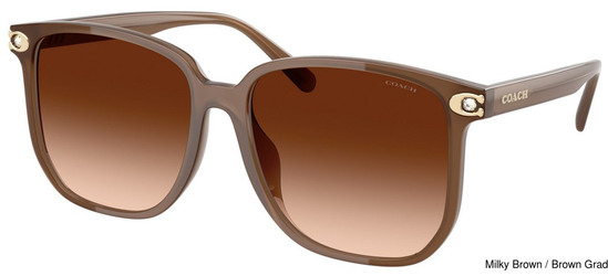 Coach Replacement Lenses 111141