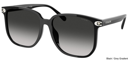 Coach Replacement Lenses 111143