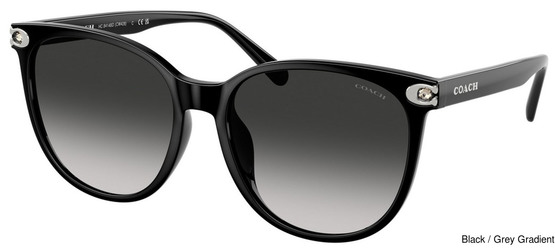 Coach Replacement Lenses 111146