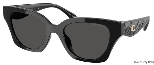 Coach Replacement Lenses 111149