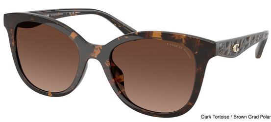 Coach Replacement Lenses 111157