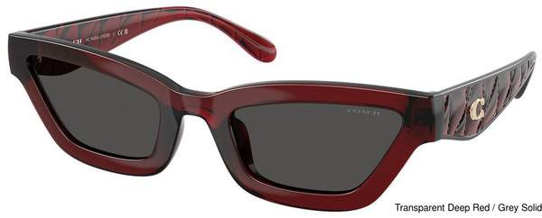 Coach Replacement Lenses 111160