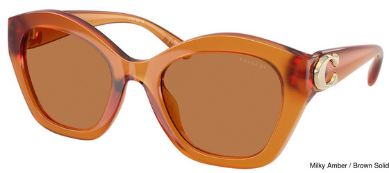 Coach Replacement Lenses 111162