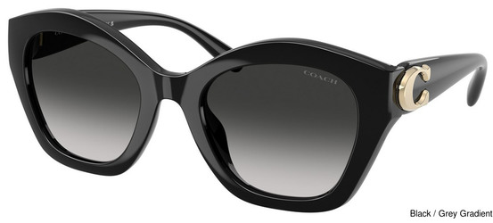 Sunglass Replacement Lenses 111163