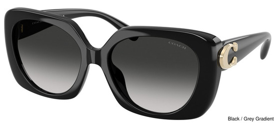 Coach Replacement Lenses 111170