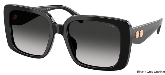 Coach Replacement Lenses 111177