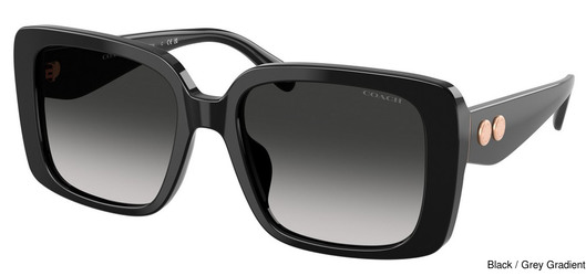 Coach Replacement Lenses 111180