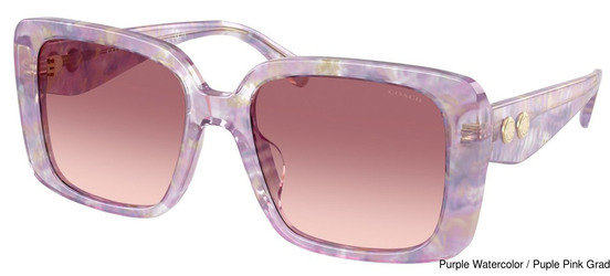 Coach Replacement Lenses 111182